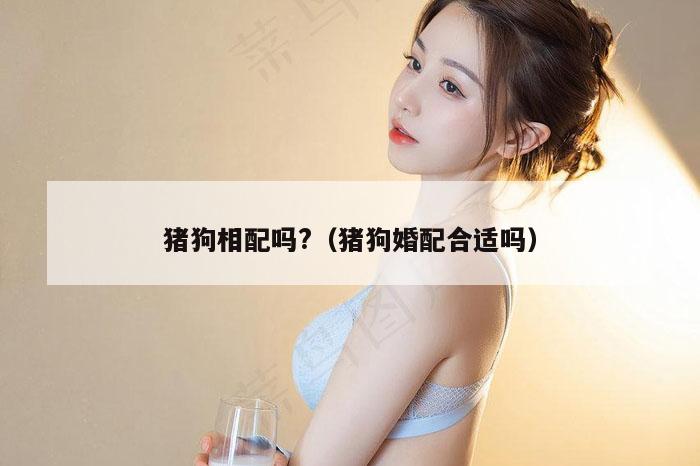 猪狗相配吗?（猪狗婚配合适吗）