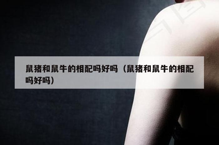 鼠猪和鼠牛的相配吗好吗（鼠猪和鼠牛的相配吗好吗）